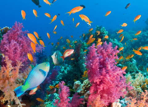Croisière De la Vallée du Nil aux sables d'Hurghada - 34