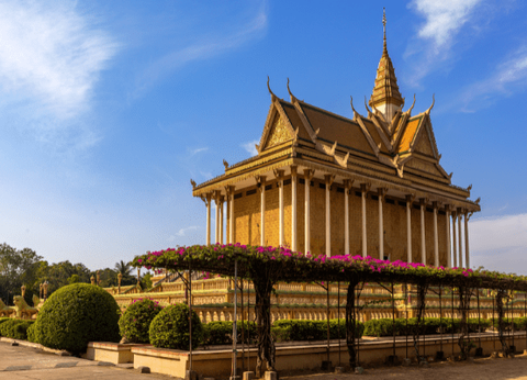 Circuit Lotus du Cambodge - 11