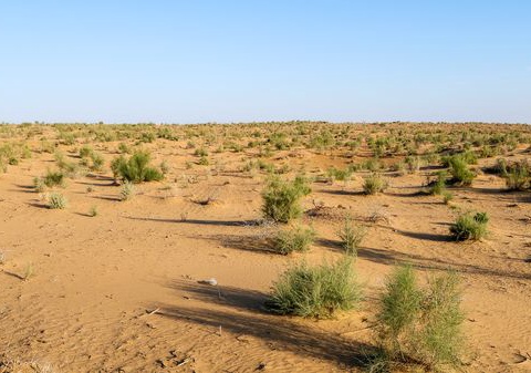 Splendeurs d'Ouzbékistan 12J/10N - 2026 - Limité à 26 pers. - (Flex) - 14