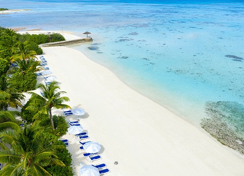 Hôtel Framissima Evasion Canareef Resort 4* - 2