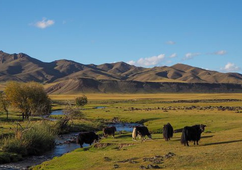 Circuit Immersion en Mongolie - Festival du Naadam - 12J/09N - 5