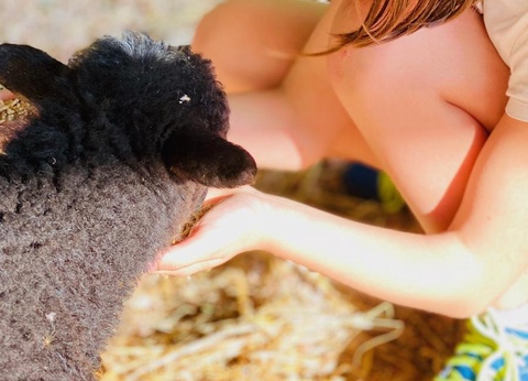 Camping Globo Barcelona, 4* - 33