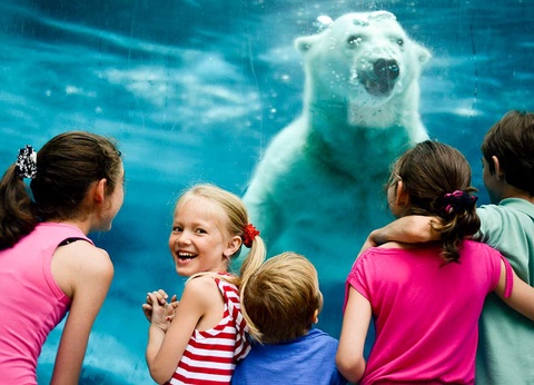 Circuit Canadavision 10 jours - 9