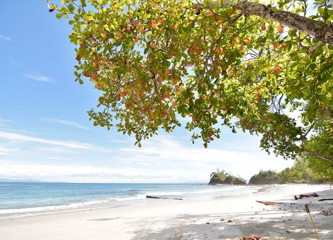 Club Lookéa Punta Léona **** - 17