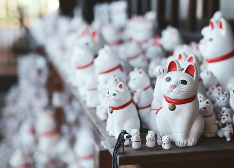 Combiné Tokyo Kyoto en 3* ou 4* - 18