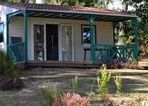 Camping Domaine des Grands Pins 4* - 15