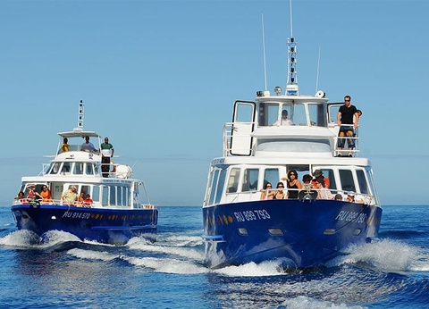 Circuit La Réunion, Couleurs de l'Ile Bourbon - 11