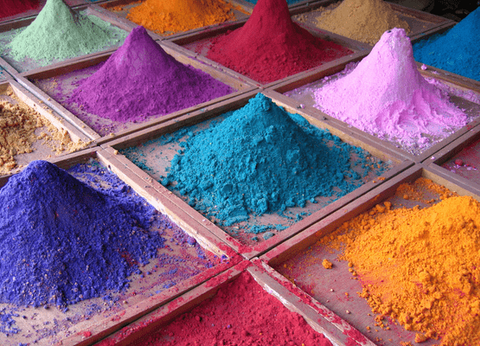 Circuit Sur la route du Taj Mahal au Tigres de Ranthambore - 11