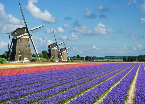 Découvrez Scheveningen et le Keukenhof en un week-end - 3* - 28