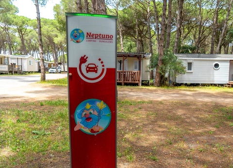 Camping Neptuno, 3* - 17