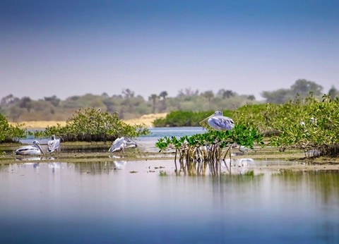 Circuit Mythes & charmes du Sénégal en privatif *** - 29