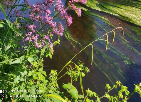 Camping Ty Nenez, 3* - 75