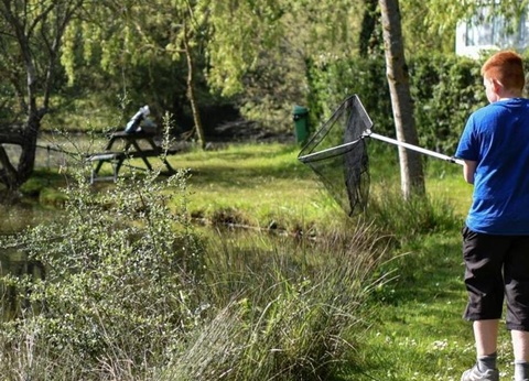 Camping Paradis - Domaine de Bellevue, 4* - 44