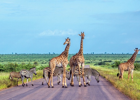 Circuit Afrique du Sud, le Monde en un seul pays - 11