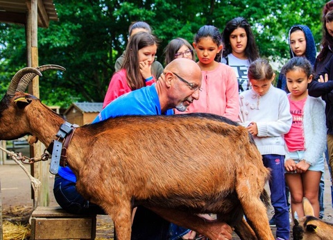 Camping Domaine de Bréhadour, 4* - 18