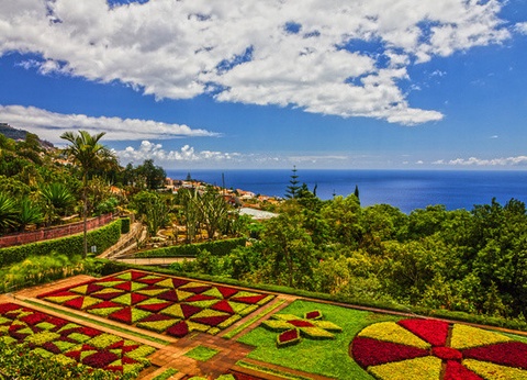 Circuit Douceurs de Madère **** - 9