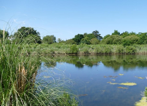 Camping Plijadur 4* - 55