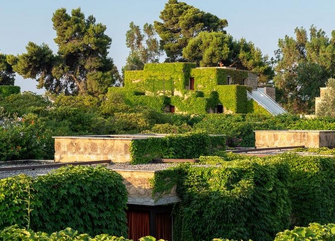 Hôtel VOI Floriana Resort 4* sup - 11