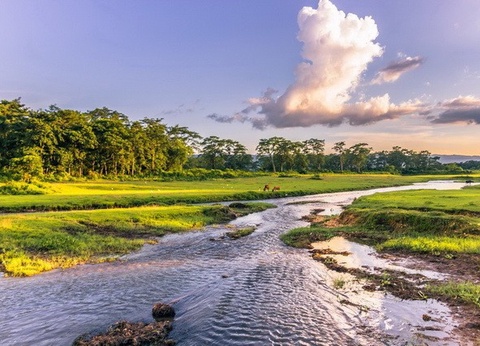 Népal Intimiste - 13