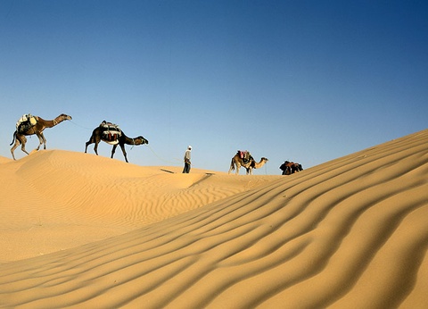 Le Grand Tour de Tunisie - 8