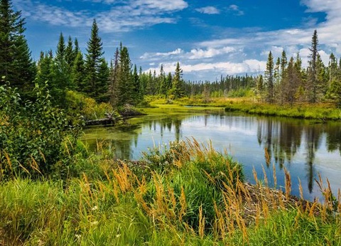 Splendeurs du Canada 12J/10N - 2026 - 9