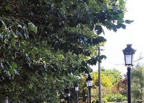 Camping Les Berges du Canal, 4* - 67