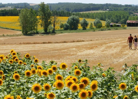 Camping Sites et Paysages - Le Moulin, 4* - 59