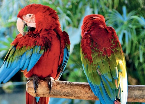 Circuit Échappée Dominicaine depuis l'hôtel Iberostar Hacienda Dominicus 5* - Arrivée Saint Domingue - 2