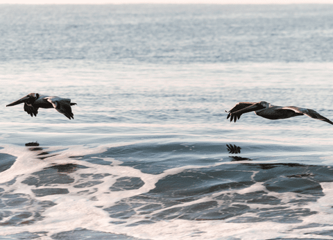 Circuit Chemins Sacrés du Guatemala et du Pacifique - 53