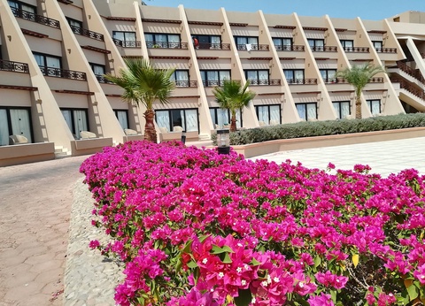 Hôtel Pharaoh Azur Grand Resort 4* - 34