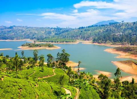 Circuit Merveilles du Sri Lanka 3* - 2