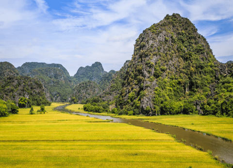 Circuit Lotus du Vietnam - 28