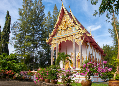 Combiné séjour au Tup Kaek 4* et Orchidacea 4* - 12