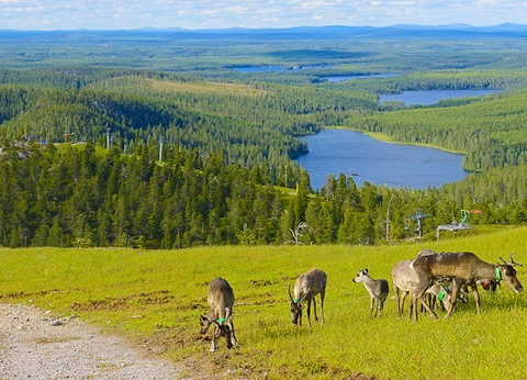 Circuit Magie de Laponie - 5