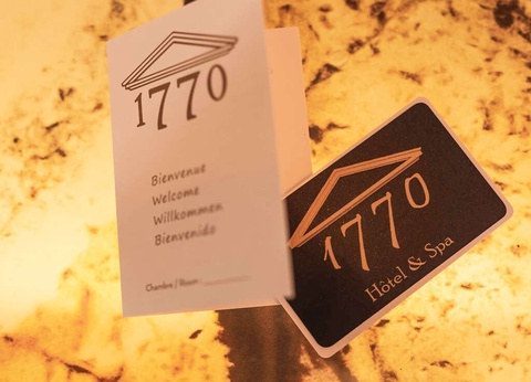 Escapade 4* près d'Avignon dans un batîment du XVIIIème - 4* - 16