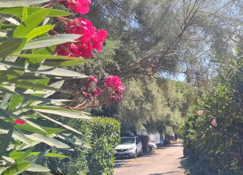 Camping de la Plage, 4* - 27