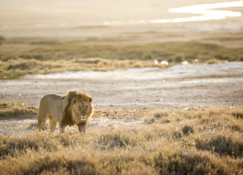 Circuit Éclats de l'Afrique australe **** - 6