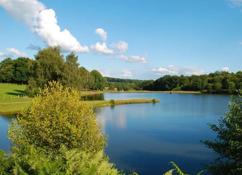 Flower Camping l'Air du Lac, 3* - 25