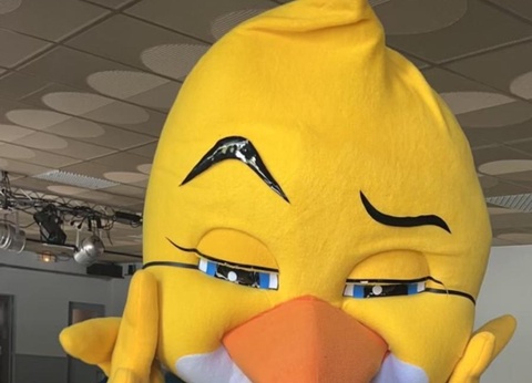 Camping Paradis Le Royon, 4* - 8