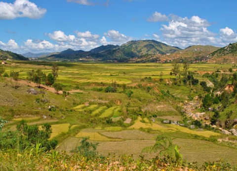 Circuit Intense Madagascar le long de la Route Nationale 7 - 4