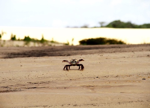 Circuit Privatif Rio & les Mystères du Nord-Est - 13
