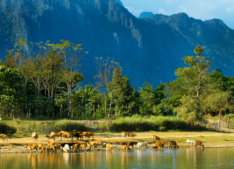 Circuit Epopée en Indochine en privatif - 8