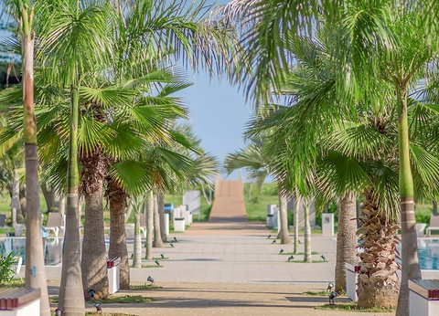 Combiné Melia Cohiba 5* & Melia Internacional Varadero 5* - 12