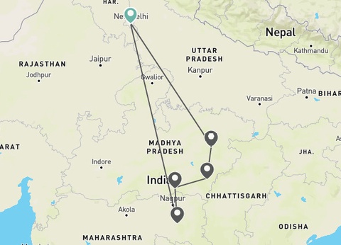 Circuit L'appel de la jungle : sur les traces du tigre du Bengale **** - 12