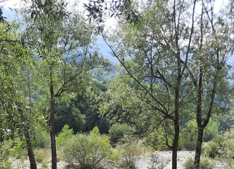 Camping La Ribière, 3* - 34