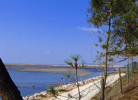 OFFRE CHOC - Camping Les Violettes 4* - 29