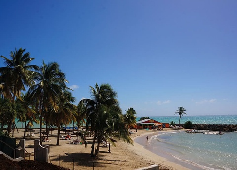 COMBINÉ 2 ILES (10 nuits) : GUADELOUPE Zenitude Le Clipper + MARTINIQUE Karibéa Amandiers - 14