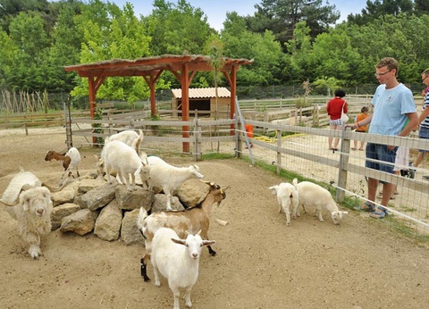 Camping Domaine de La Yole, 5* - 26