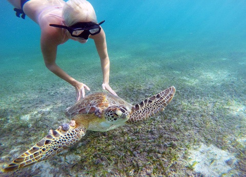 Circuit Beautés mayas et plage des Caraïbes (Logement au Framissima Évasion Tulum Riviera) **** - 9