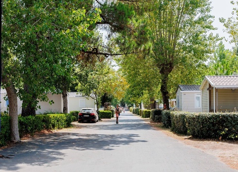 Camping L'escale du Perthuis - Odalys - 2